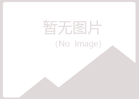 大关县山柏冶炼有限公司